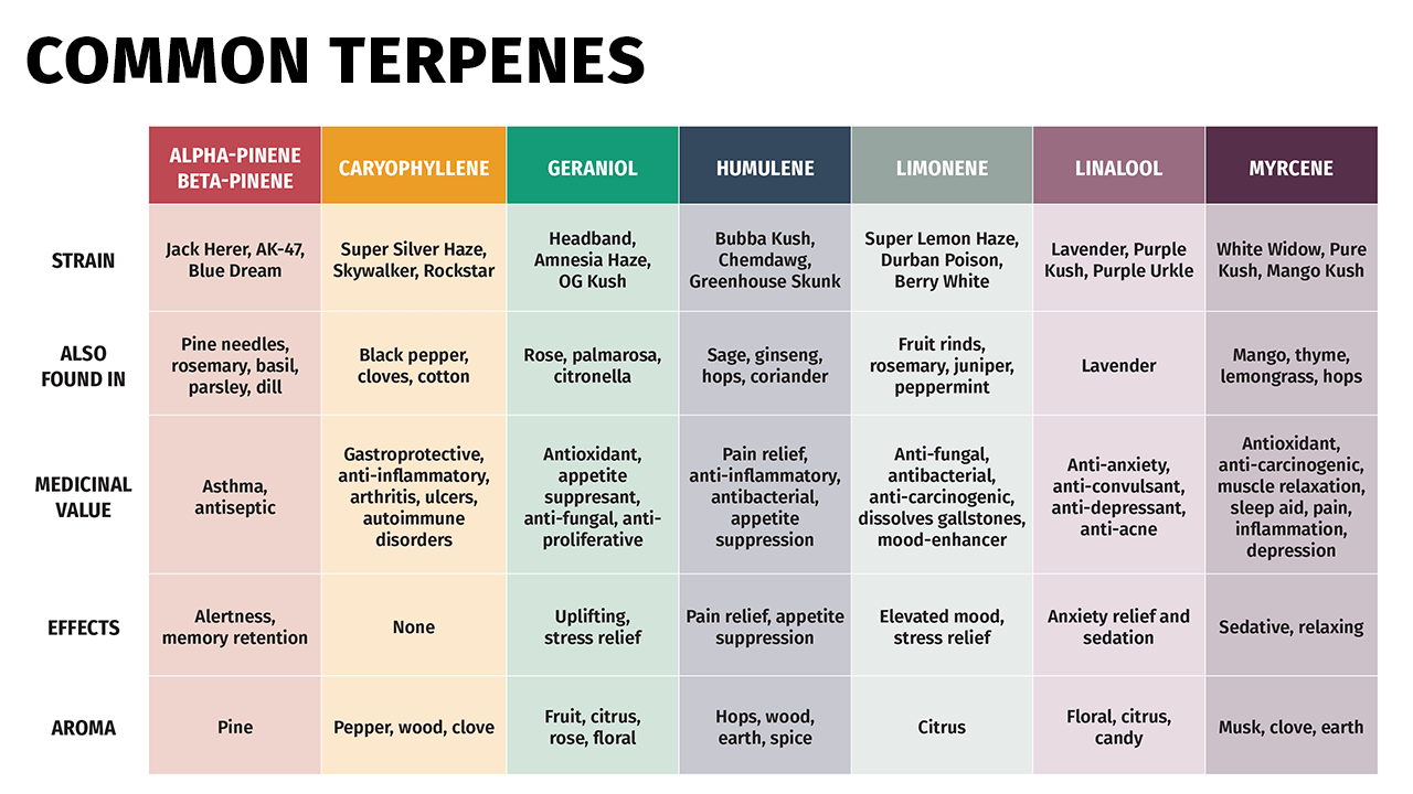 terpenes chart